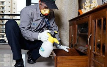 8.Wood Borer Control Service